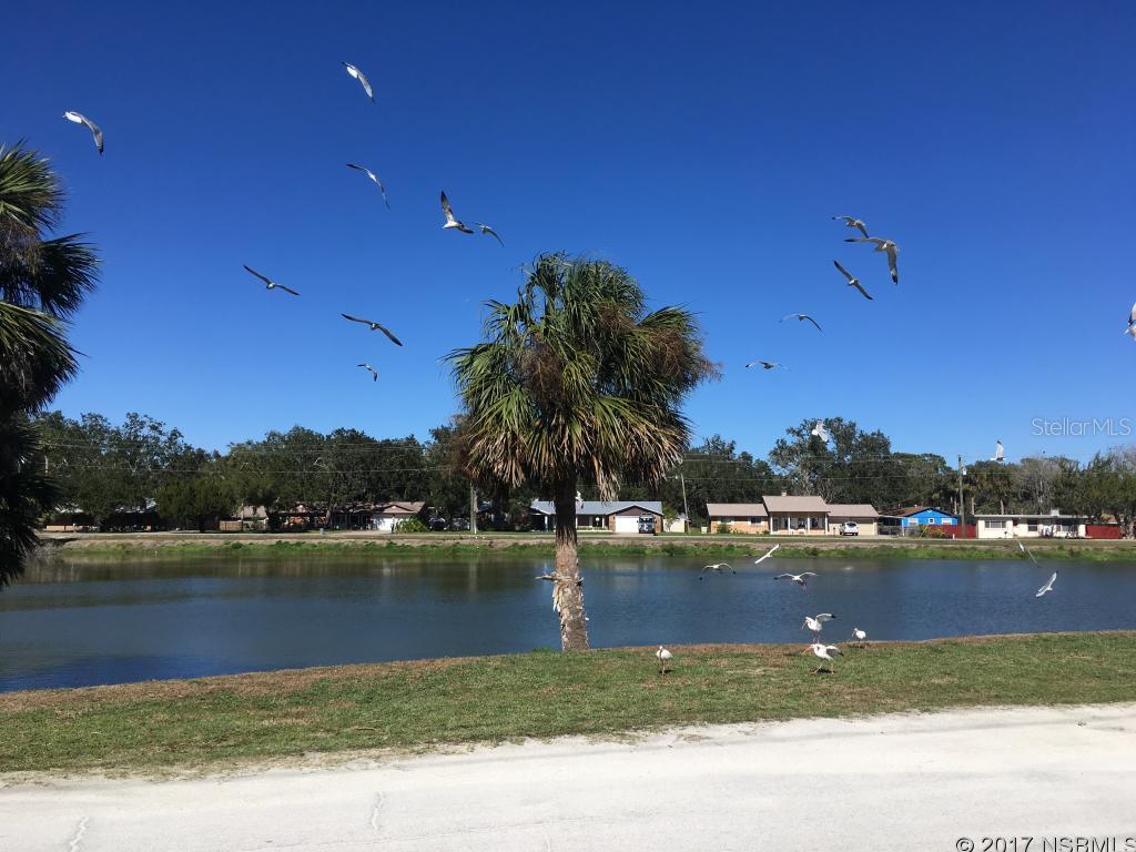 Florida Shores 01 - Land