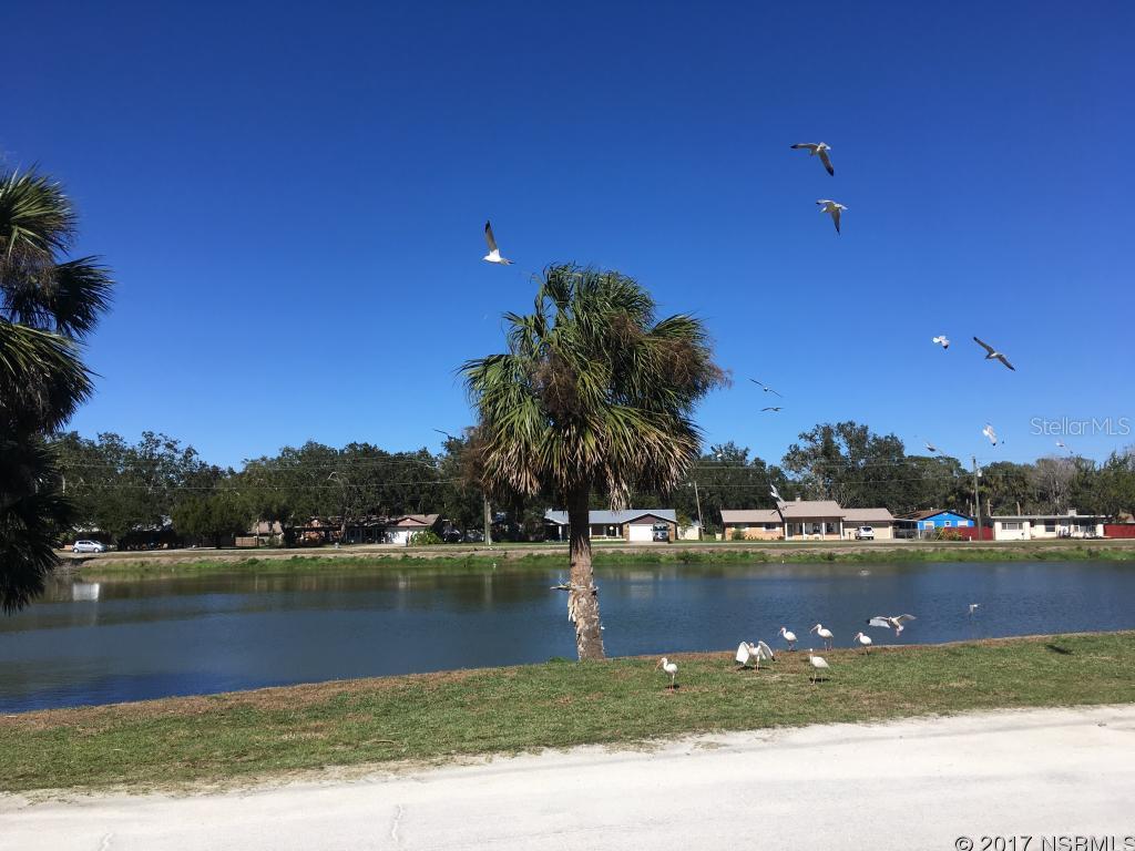 Florida Shores 01 - Land