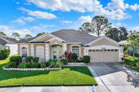 5516 RIVA RIDGE DRIVE WESLEY CHAPEL FL 33544