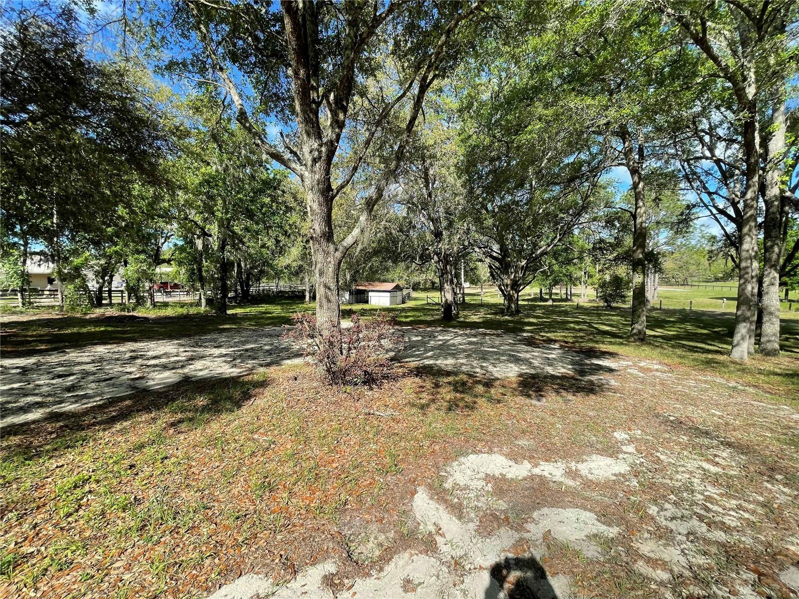 STEEPLECHASE FARMS - Residential