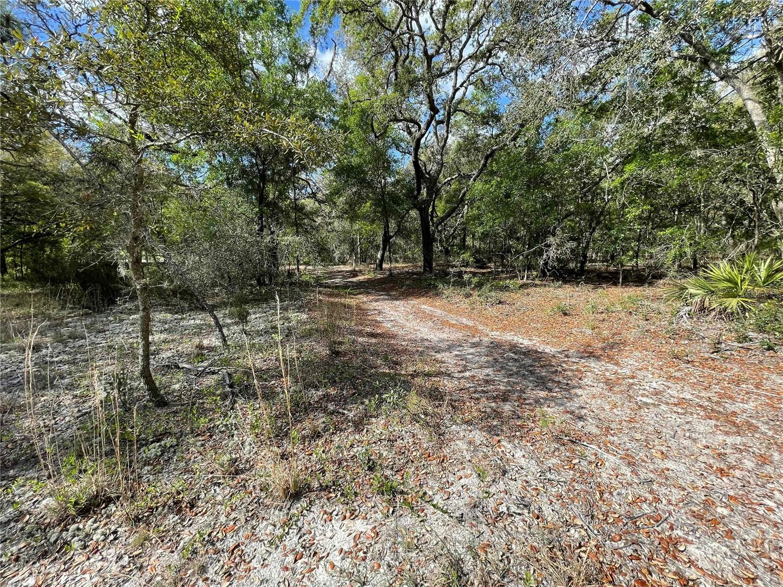 STEEPLECHASE FARMS - Residential