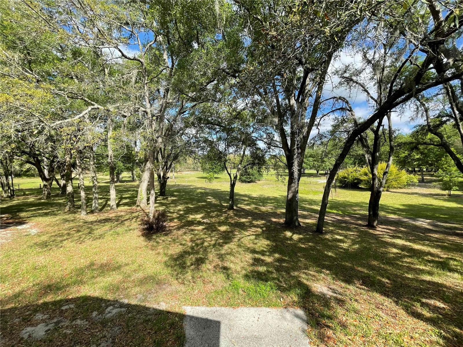 STEEPLECHASE FARMS - Residential