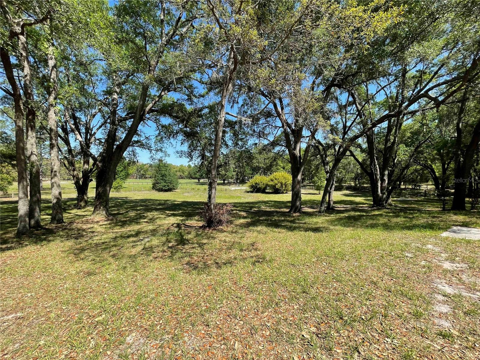 STEEPLECHASE FARMS - Residential