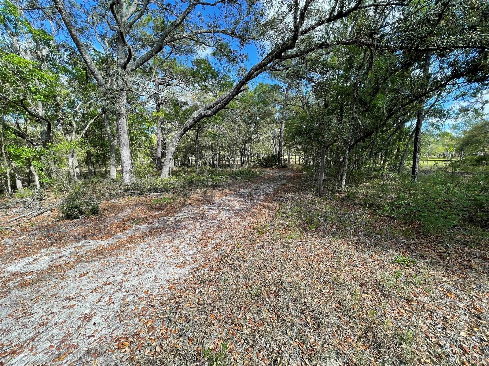 STEEPLECHASE FARMS - Residential