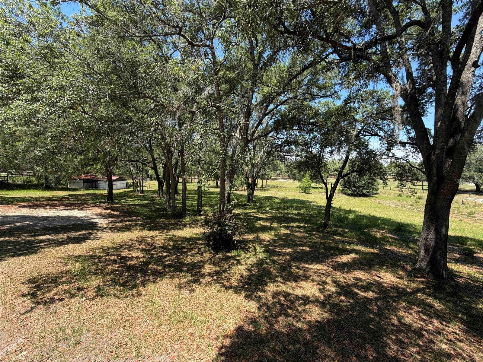 STEEPLECHASE FARMS - Residential