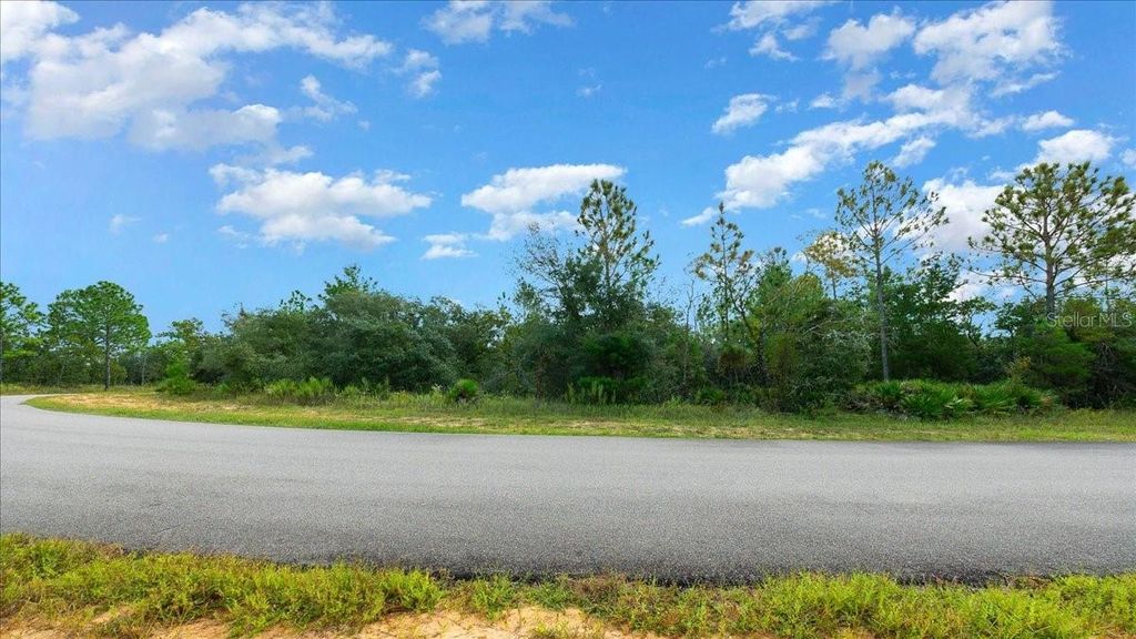 Photo of 6731 N Pavilion Loop, Citrus Springs, FL 34433 (MLS # OM710901)