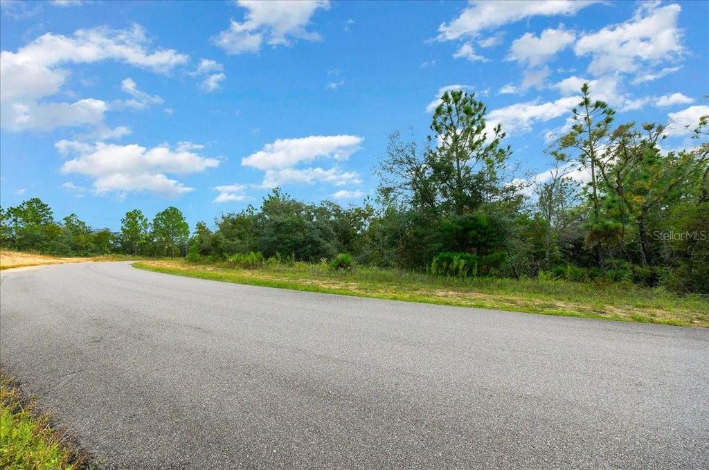 Photo of 6731 N Pavilion Loop, Citrus Springs, FL 34433 (MLS # OM710901)