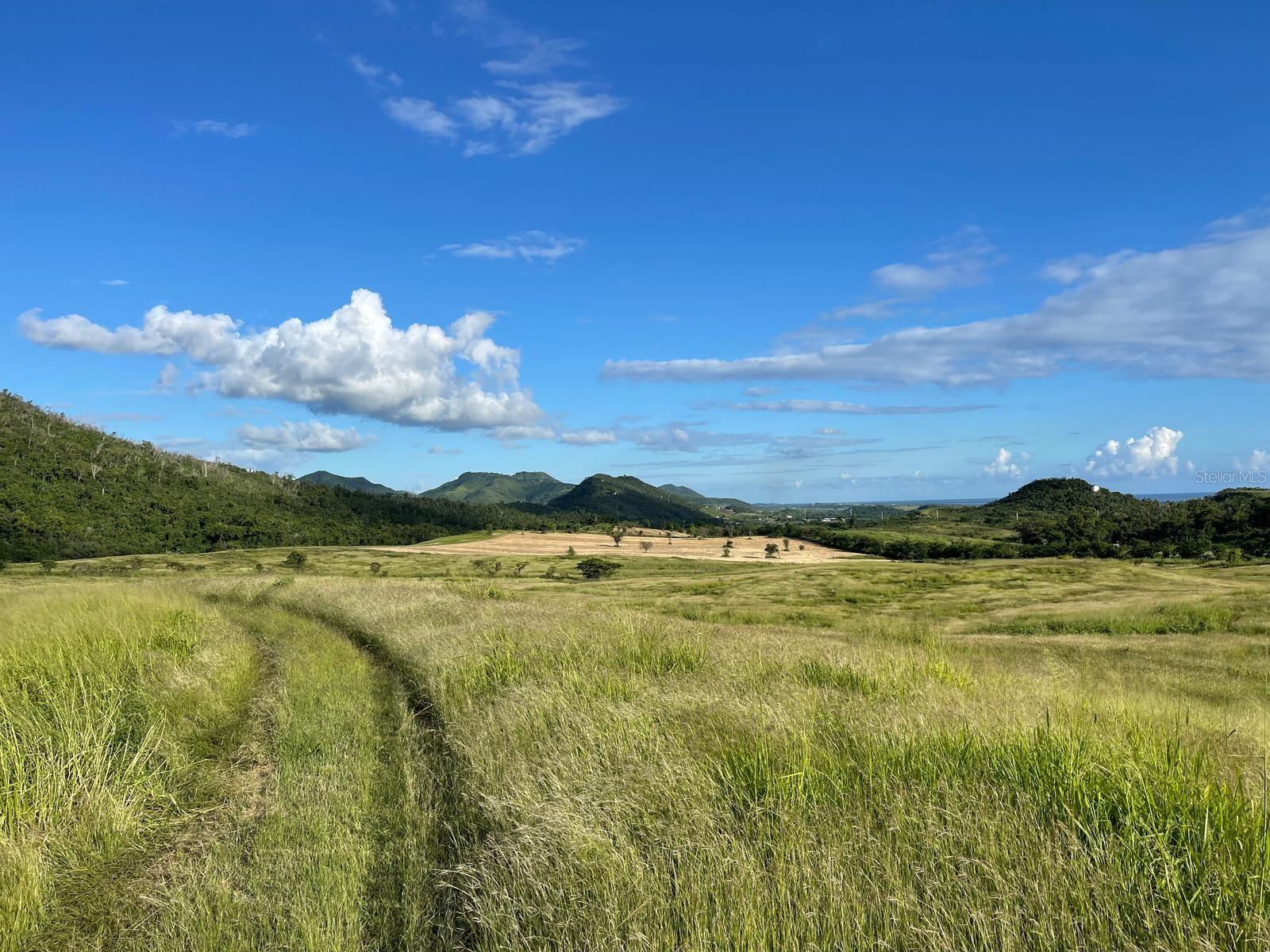 BO. DESCALABRADO - Residential