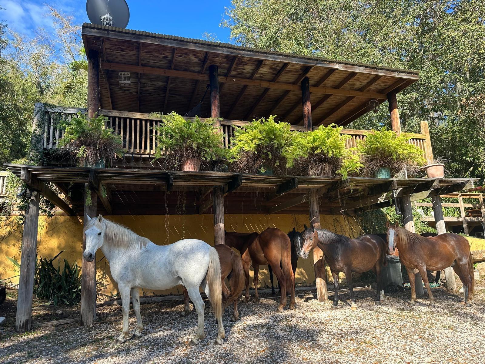 BO. DESCALABRADO - Residential