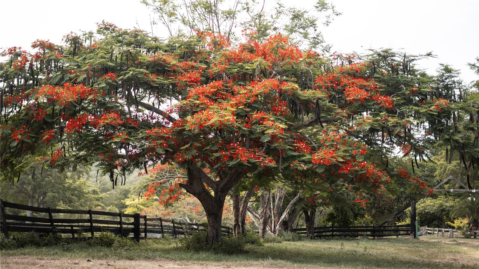 BO. DESCALABRADO - Residential