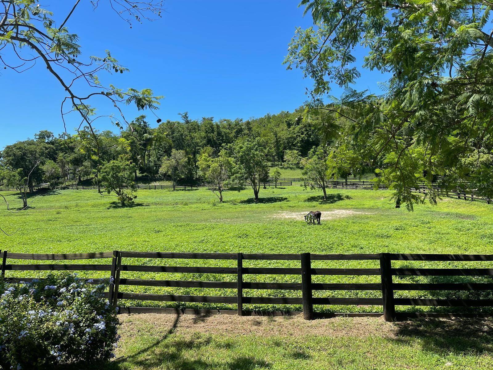 BO. DESCALABRADO - Residential