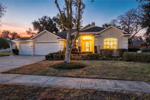 1333 BRANCH HILL COURT APOPKA FL 32712