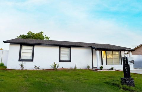 8709 MARLIN COURT TAMPA FL 33634