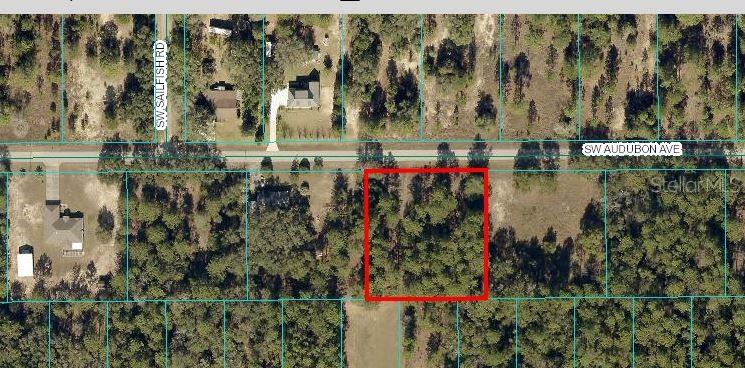 **Prime Vacant Lot in Rainbow Lakes Estates, Dunnellon, Florida**NO HOA-NO RESTRICTIONS...! Perfect to build your dream home in the serene community. Nestled in a peaceful neighborhood, this property is not located in a flood zone, ensuring peace of mind for your investment. Located nearby rainbow springs, stunning lakes, parks, and recreational activities. Whether you're looking to create a cozy retreat or a family residence. Conveniently located just minutes from local amenities, shopping, and dining, you can enjoy the best of both worlds: a quiet, rural atmosphere with easy access to everyday conveniences. Don’t miss out on this incredible opportunity to secure your piece of paradise in Dunnellon, Florida! Contact us today for more information and to schedule a viewing!