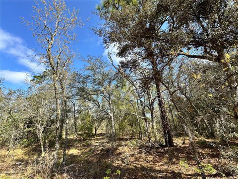 TBD NE 68TH PLACE BRONSON FL 32621