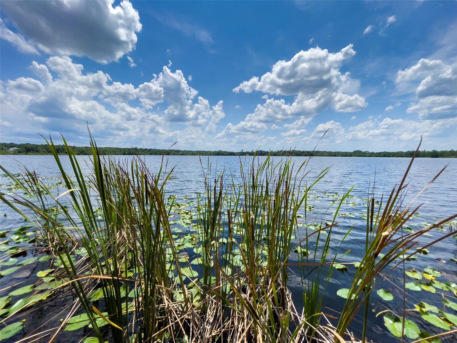 SILVER LAKES ACRES - Residential