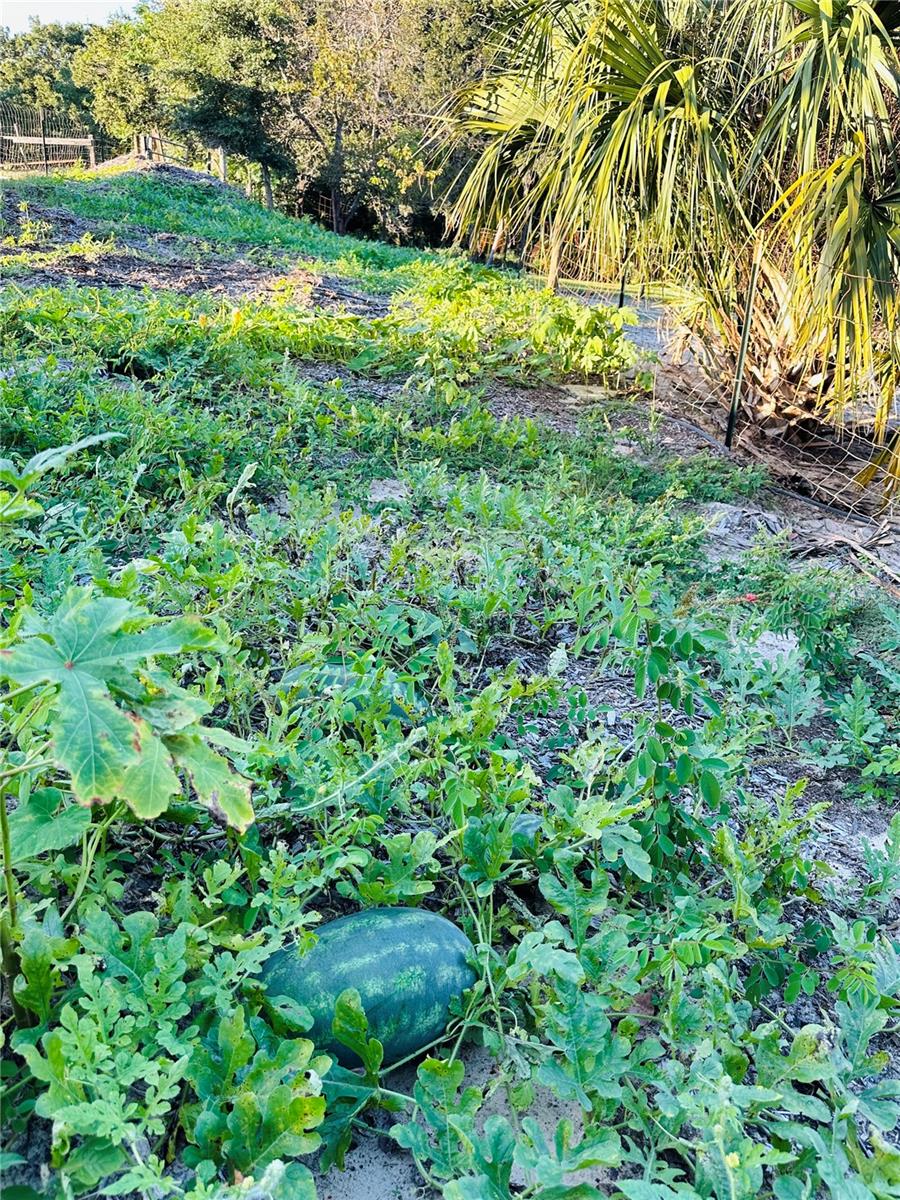 LAZY ACRES - Residential