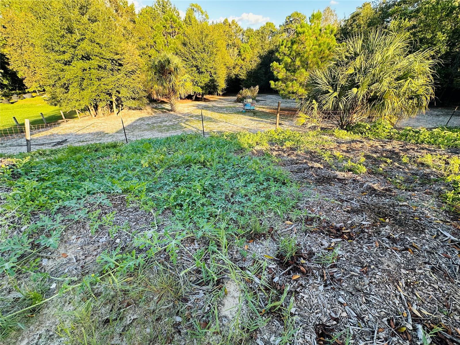 LAZY ACRES - Residential