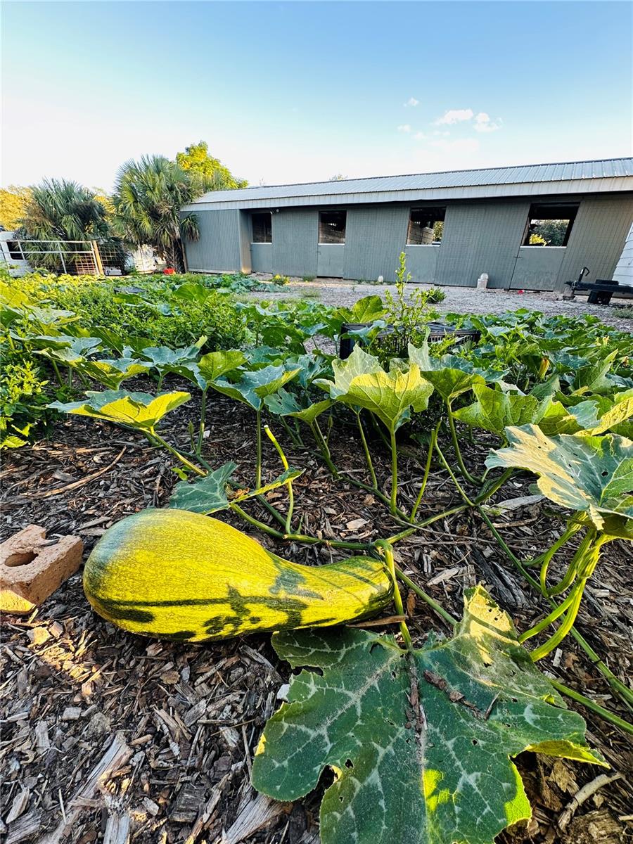 LAZY ACRES - Residential