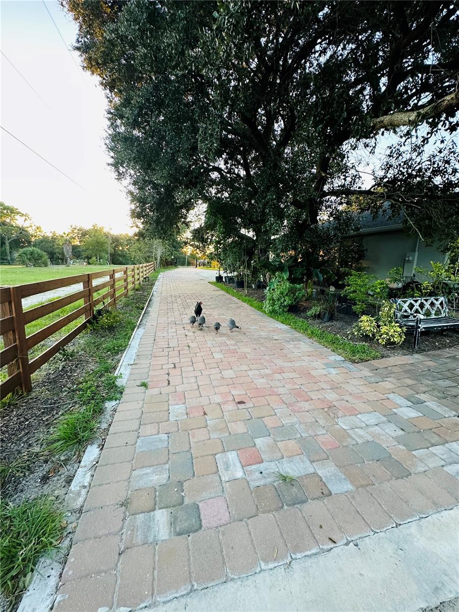 LAZY ACRES - Residential