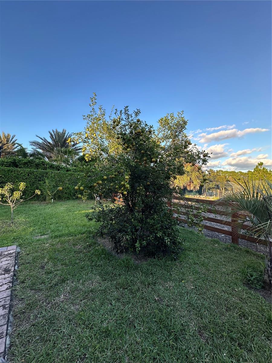 LAZY ACRES - Residential