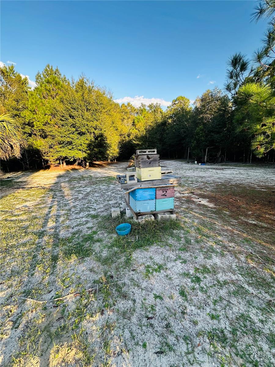 LAZY ACRES - Residential