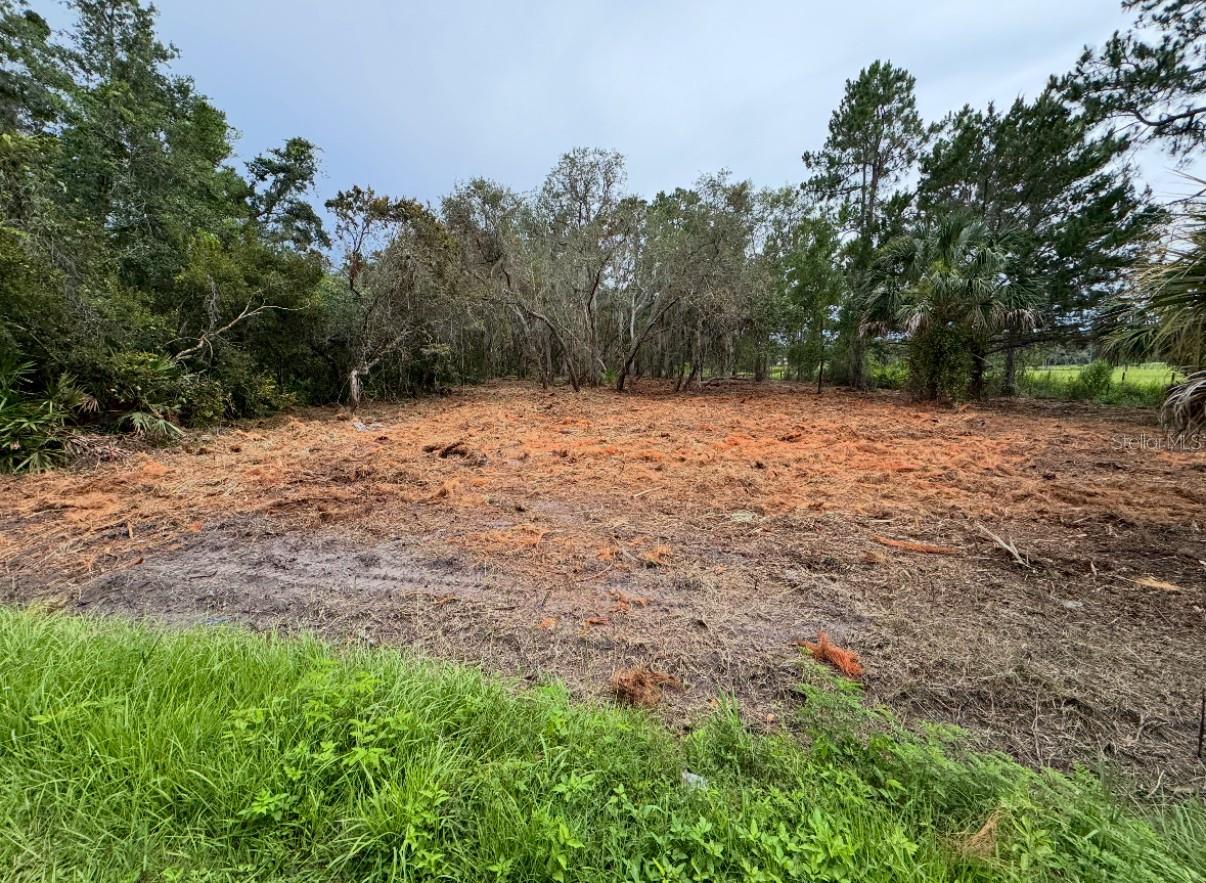 SPRING GARDEN RANCH RD