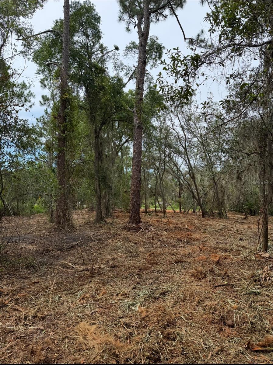 SPRING GARDEN RANCH RD