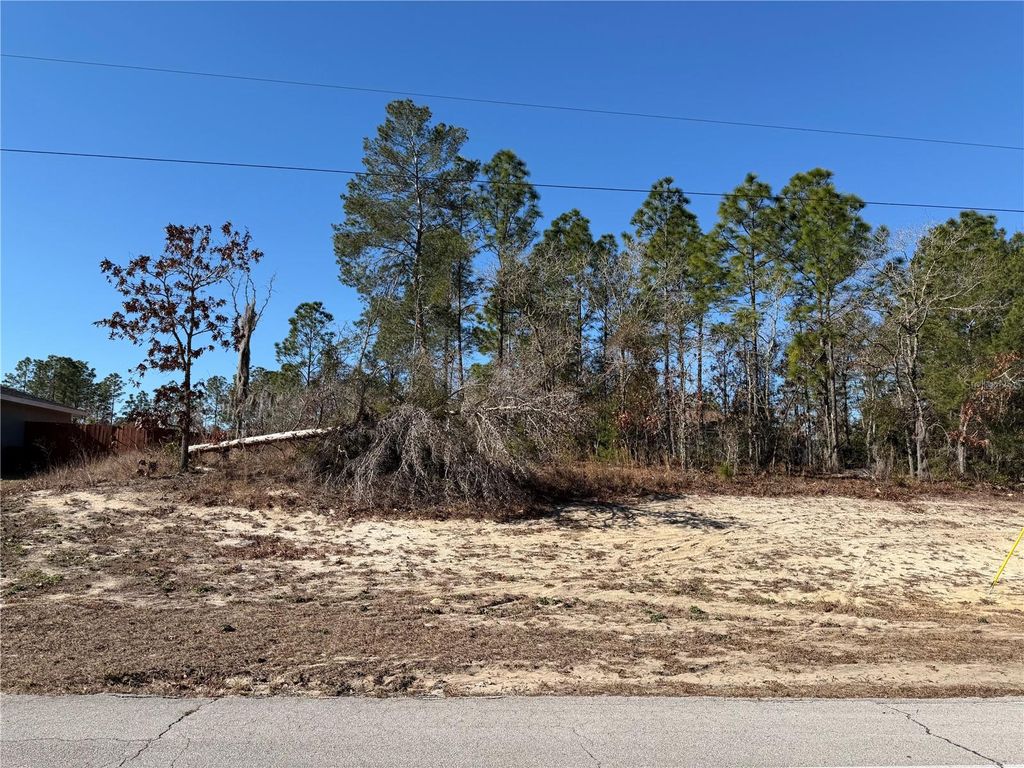 Photo of SW 135th Street Road, Ocala, FL 34473 (MLS # O6386220)