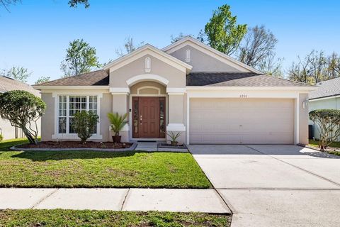 5903 WAR ADMIRAL DRIVE WESLEY CHAPEL FL 33544