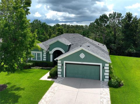 10118 CLEGHORN DRIVE SAN ANTONIO FL 33576