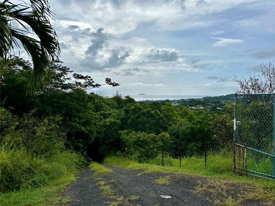 ?? 4 Acres of Untouched Potential — Rincón, PR 

Discover a rare opportunity to own raw, buildable hillside land in one of Puerto Rico’s most desirable coastal towns. These 4 acres are a blank canvas for your dream — whether it’s a private retreat, eco-friendly lodging, or an agricultural project. 

?? Highlights: 

Zoned for residential, agricultural, and eco-tourism uses 

Perfect for solar energy + water catchment (off-grid ready) 

Multiple natural terraces — ideal for creative builds 

Minutes from beaches, town center, and restaurants 

Surrounded by nature, offering privacy and peace 

Land like this doesn’t come around often — make it yours today.