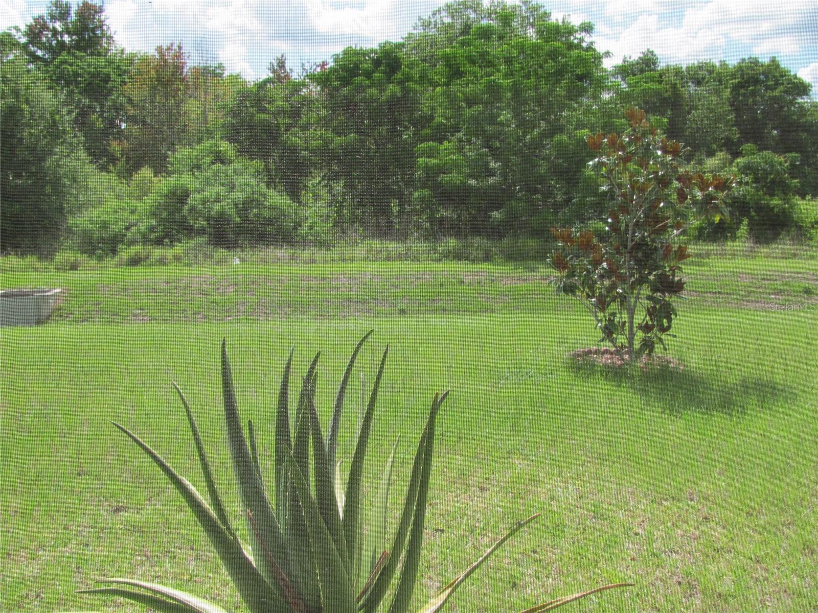 CHANLER RIDGE PH 02 - Residential Lease