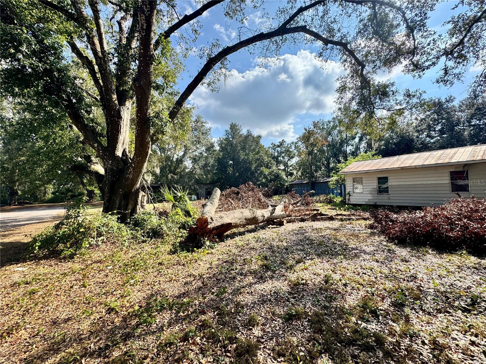 UNPLATTED - Residential