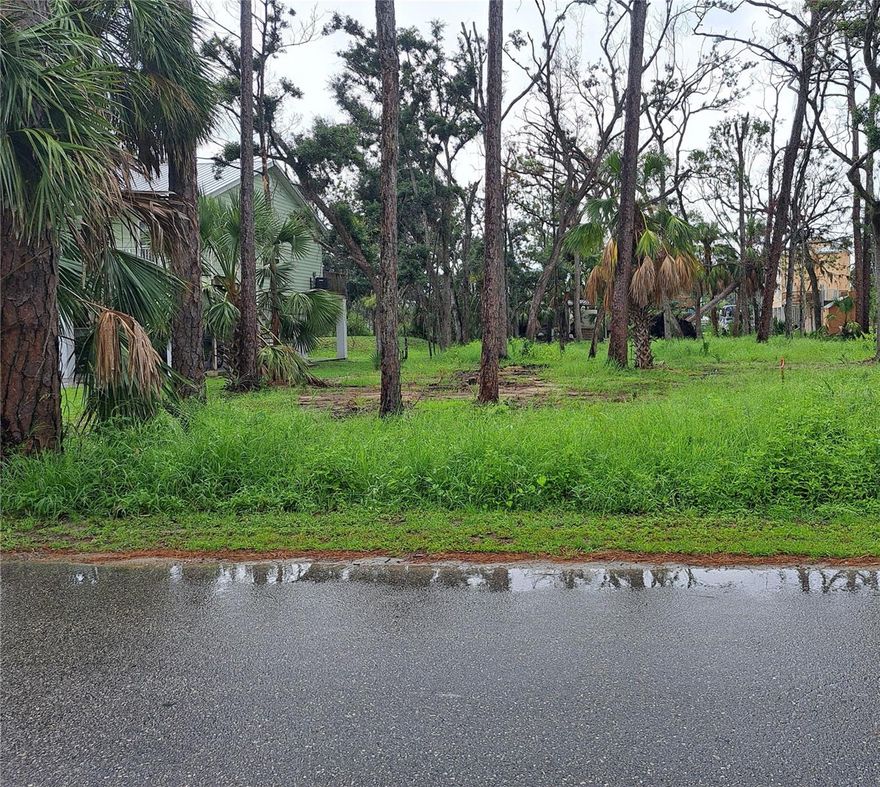 This lot  fronts on a paved road just two blocks for a short walk  to  the Steinhatchee River, boat ramp, Roy's restaurant, Sea Hag marina Sewer, water and electric are available close by. Prior to the last two hurricanes of 2023 and 2024.  This property hadn't flooded since 1990, and has an  approx. elevation of 6-8'.  Come and enjoy  premier fishing, scenic river views, and fresh seafood  from you own piece of paradise  in this beautiful coastal town! Information was obtained from the  county building and zoning, water and sewer, and the electric company and is believed to be accurate. Buyer is advised  to ascertain the suitability for this property for your needs.