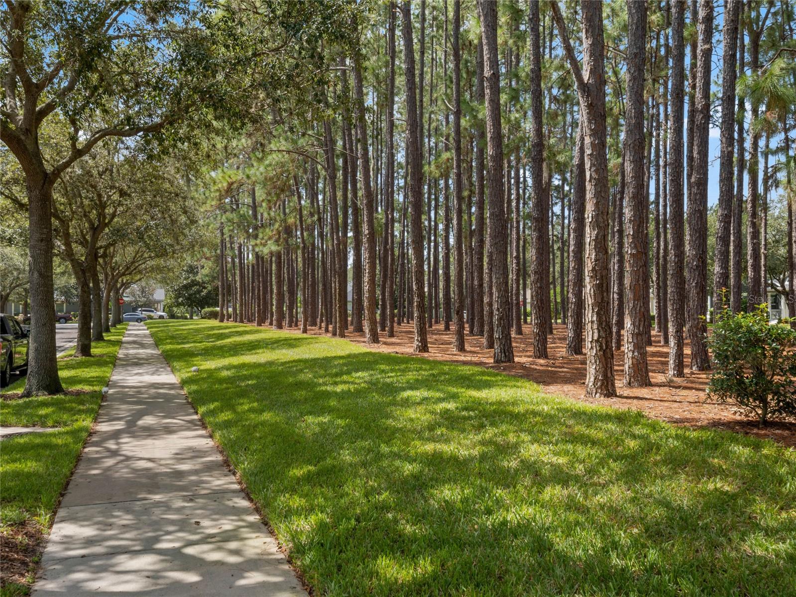 7011 NOBLETON DRIVE