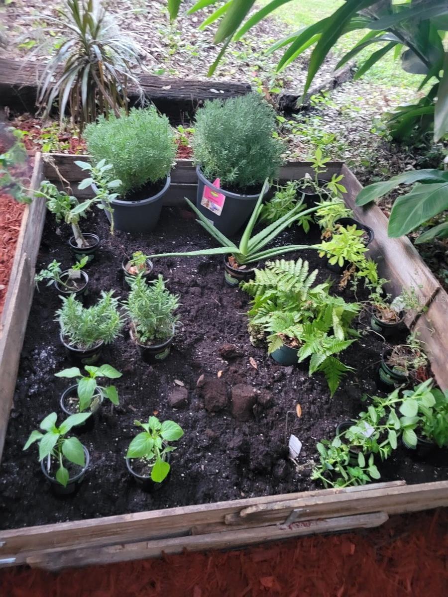 LA COSTA BRAVA LAKESIDE - Residential