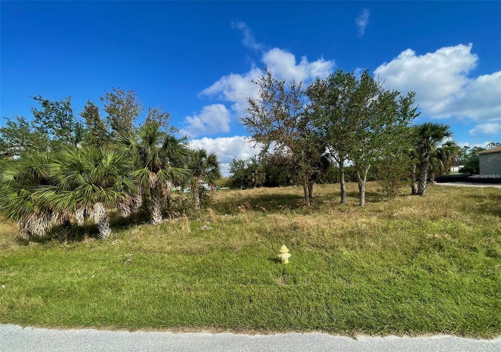 Photo of 9558 Honeymoon Drive, Port Charlotte, FL 33981 (MLS # C7500422)