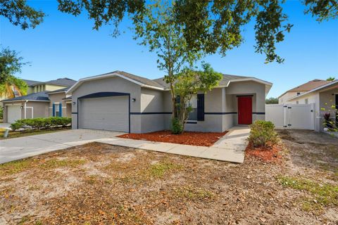 10502 RIVER BREAM DRIVE RIVERVIEW FL 33569