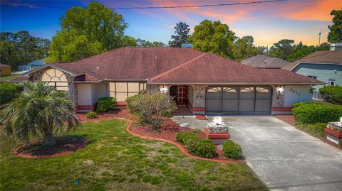 2017 GODFREY AVENUE SPRING HILL FL 34609
