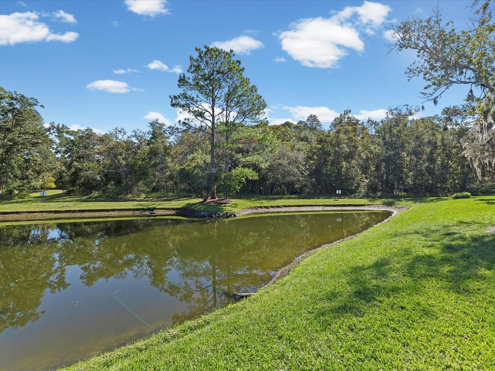 ARBORWOOD AT SUMMERTREE - Residential