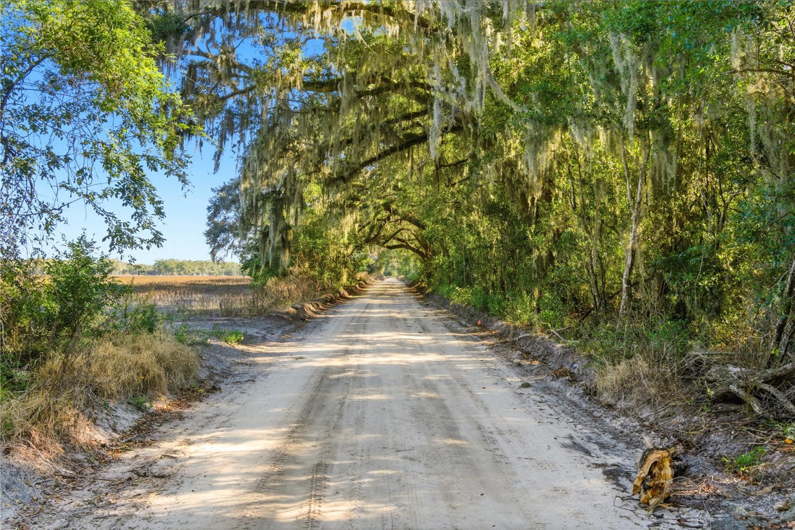 NOT IN SUBDIVISION - Residential