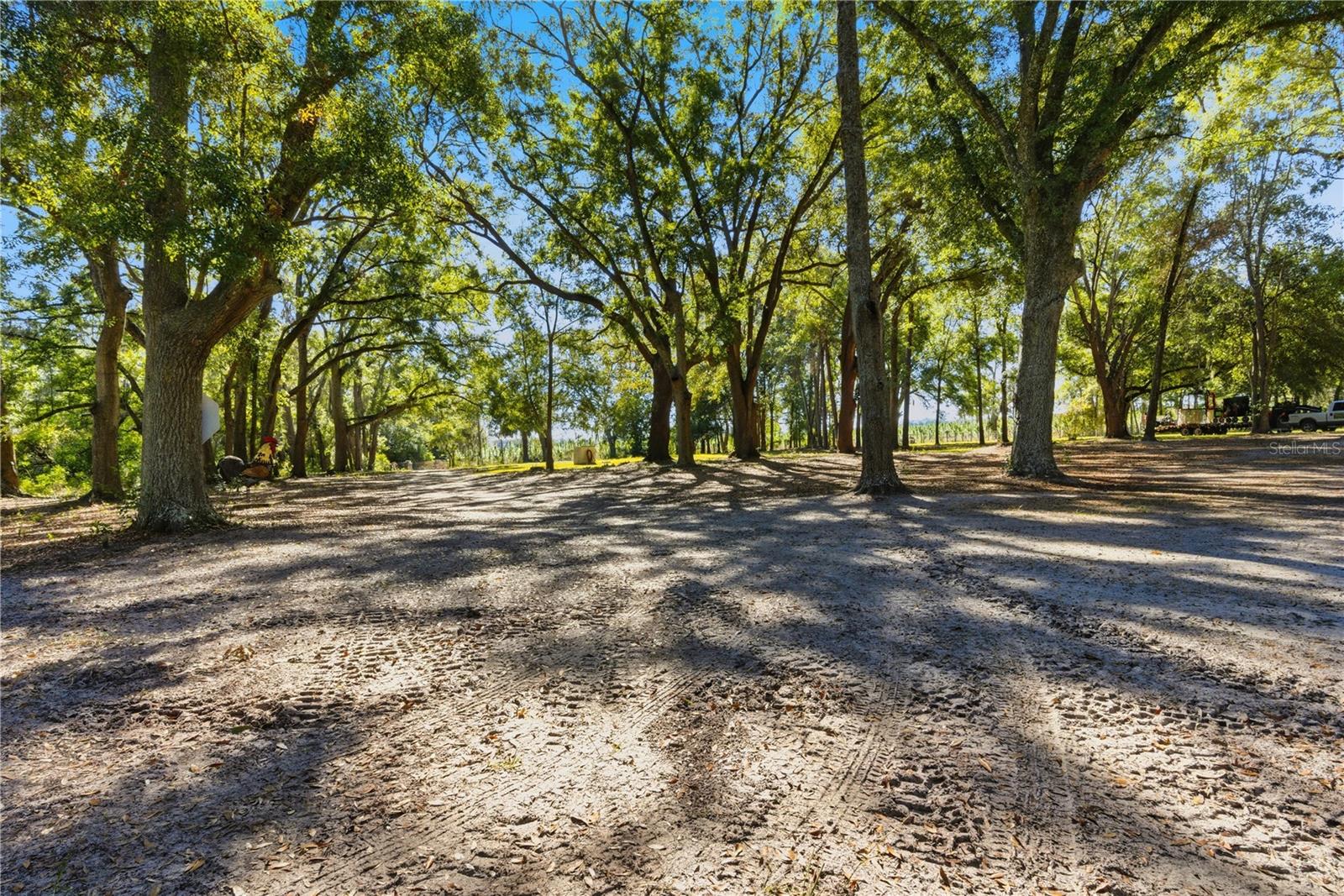 NOT IN SUBDIVISION - Residential