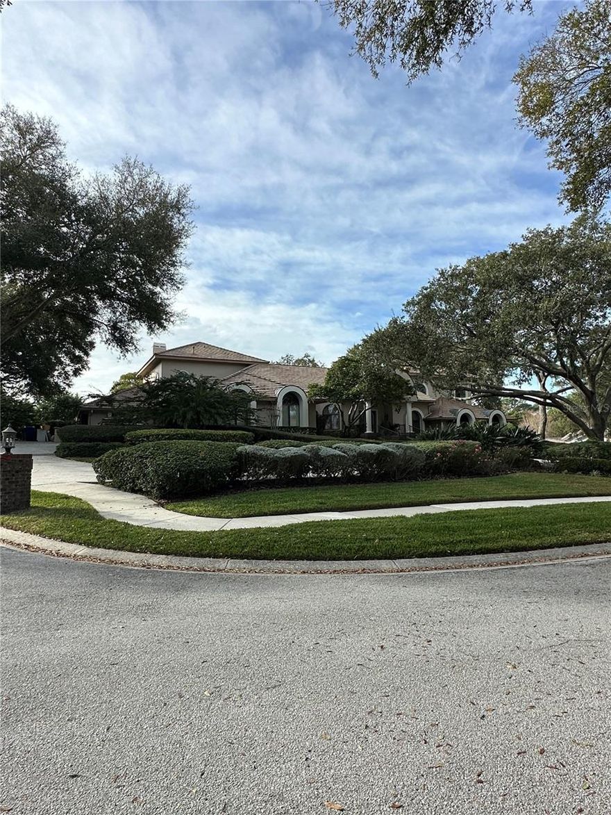 A unique find! True estate living in this Palm Harbor executive home.