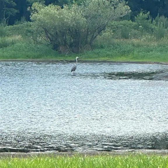 PALOMINO LAKES - Land