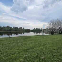 Photo of 229 Southbridge Circle, Kissimmee, FL 34744 (MLS # O6448909)