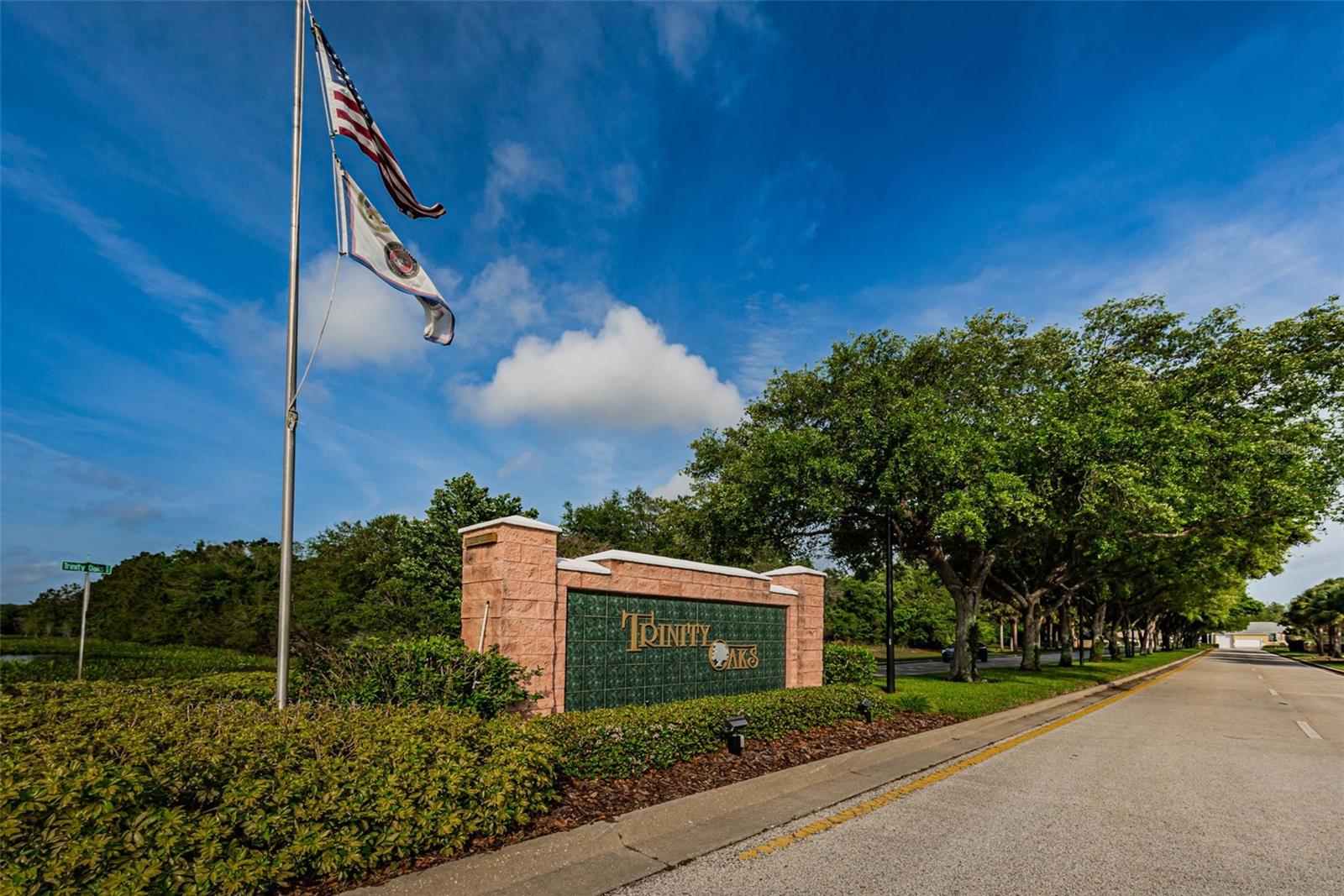 TRINITY OAKS SOUTH - Residential