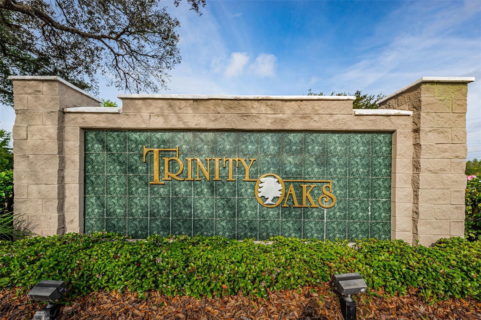 TRINITY OAKS SOUTH - Residential