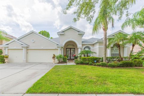 18111 DIAMOND COVE COURT TAMPA FL 33647