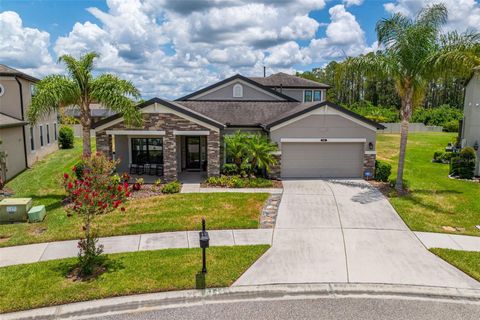 A home in LAND O LAKES